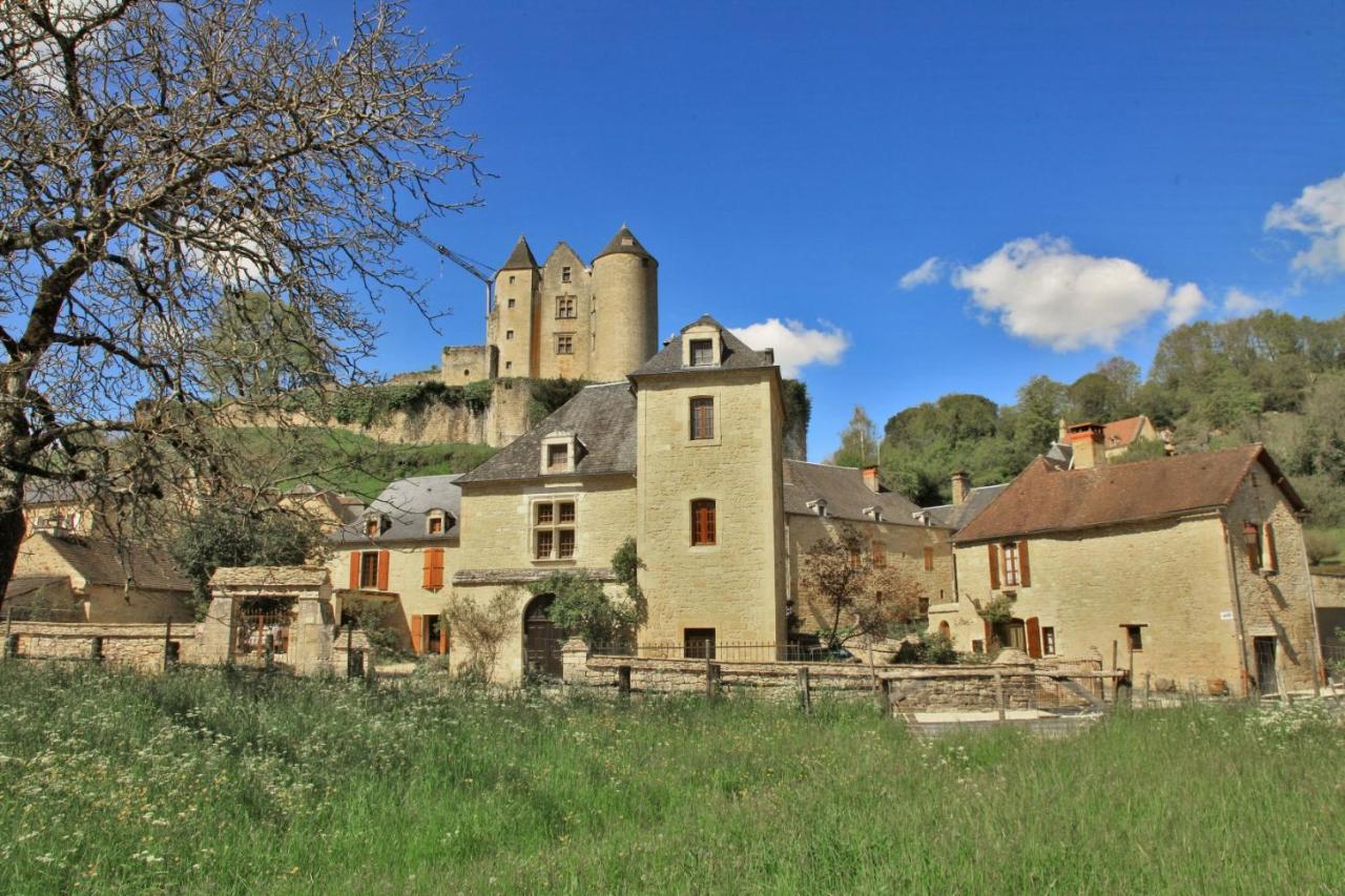 Petite Maison En Pierre Au Coeur Du Perigord Noir Salignac Eyvigues 外观 照片