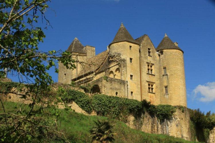 Petite Maison En Pierre Au Coeur Du Perigord Noir Salignac Eyvigues 外观 照片