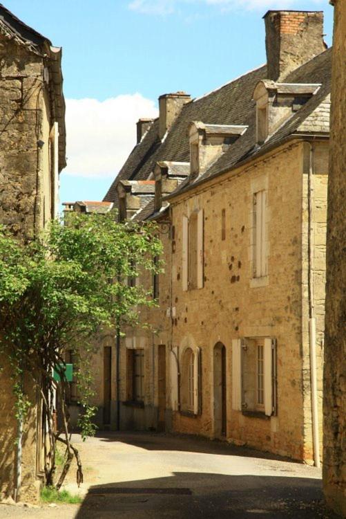 Petite Maison En Pierre Au Coeur Du Perigord Noir Salignac Eyvigues 外观 照片
