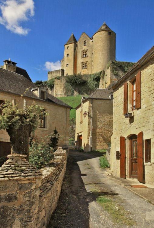 Petite Maison En Pierre Au Coeur Du Perigord Noir Salignac Eyvigues 外观 照片