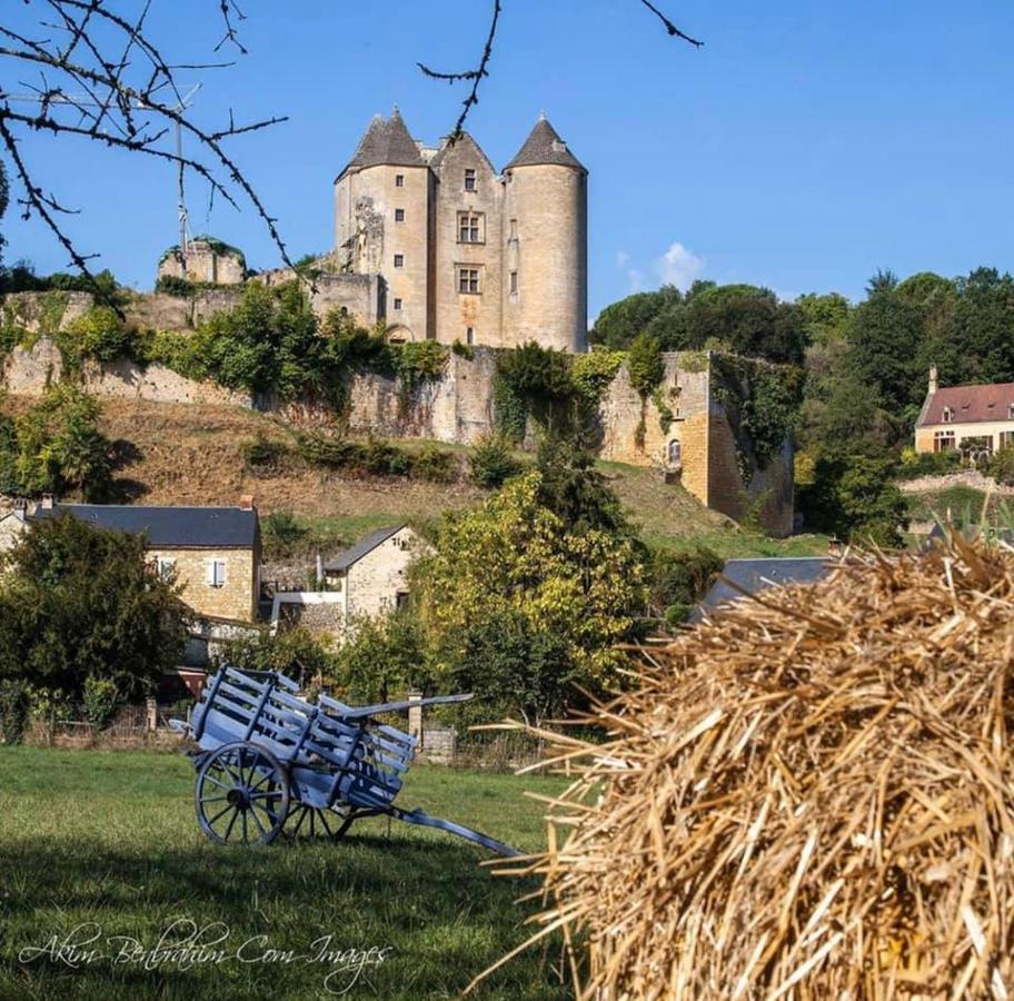 Petite Maison En Pierre Au Coeur Du Perigord Noir Salignac Eyvigues 外观 照片